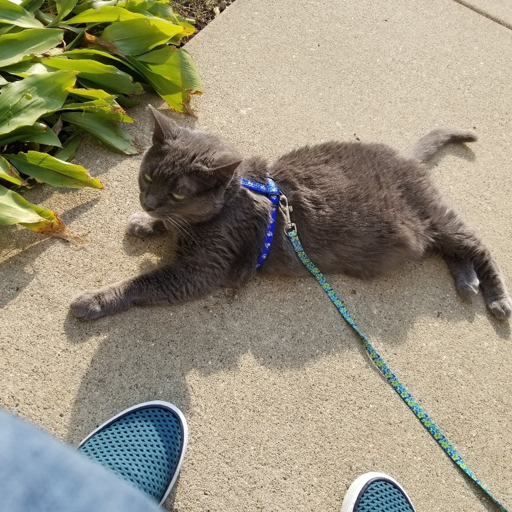 Meet your Posher, Barbara